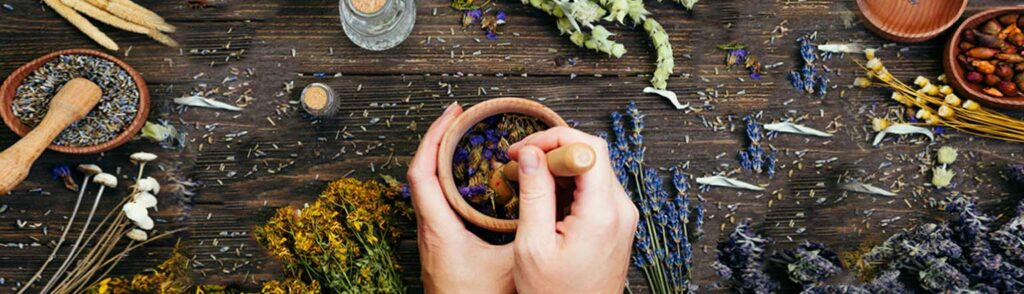 Choose the best Ayurvedic herbs